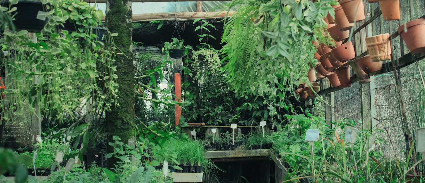 Paradise Garden 温室風景